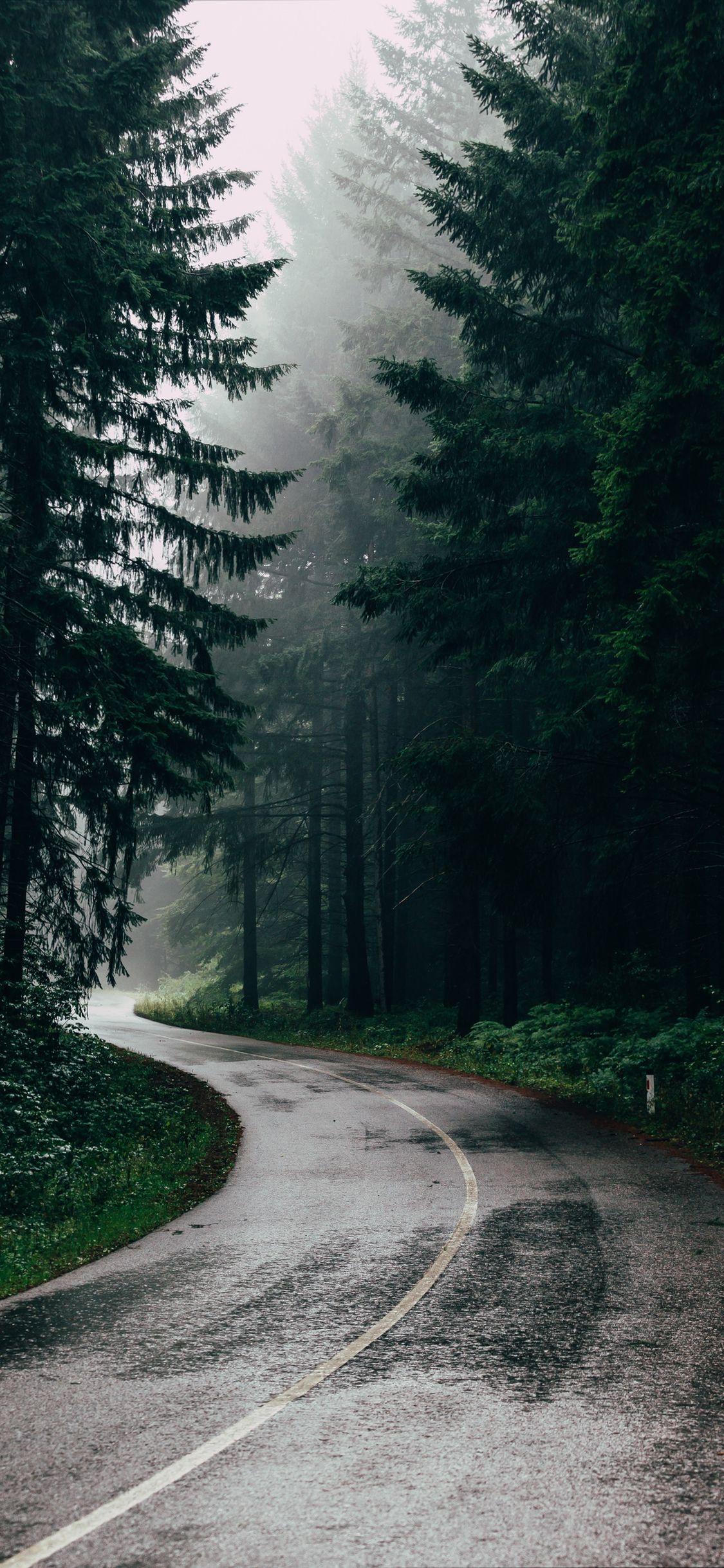 iPhone Rain Images.jpg