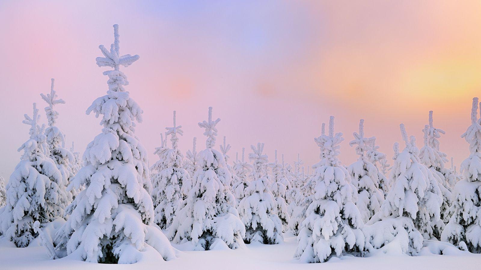 Winter Aesthetic wallpapers.jpg