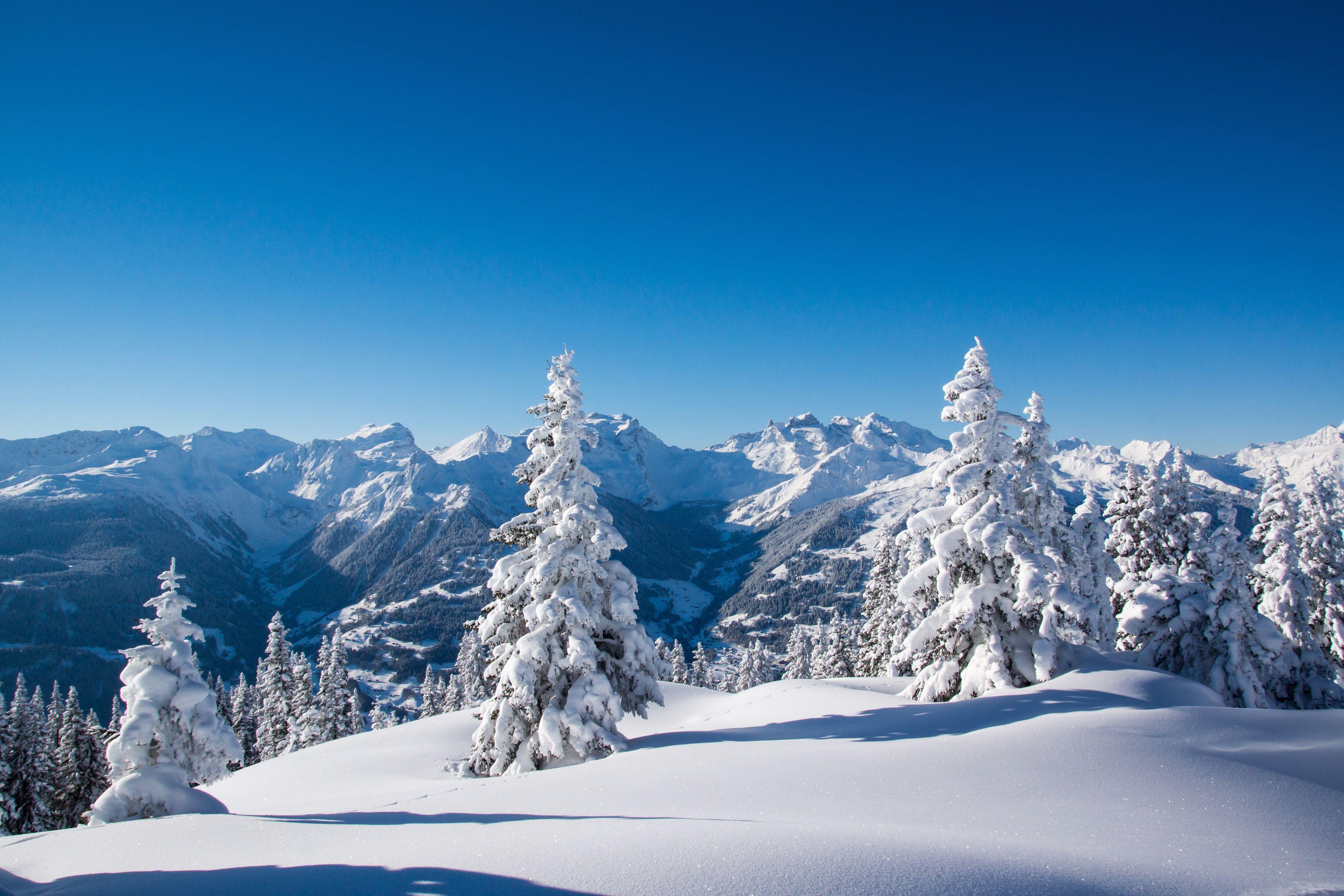 4k Snow Mountain Wallpaper.jpg