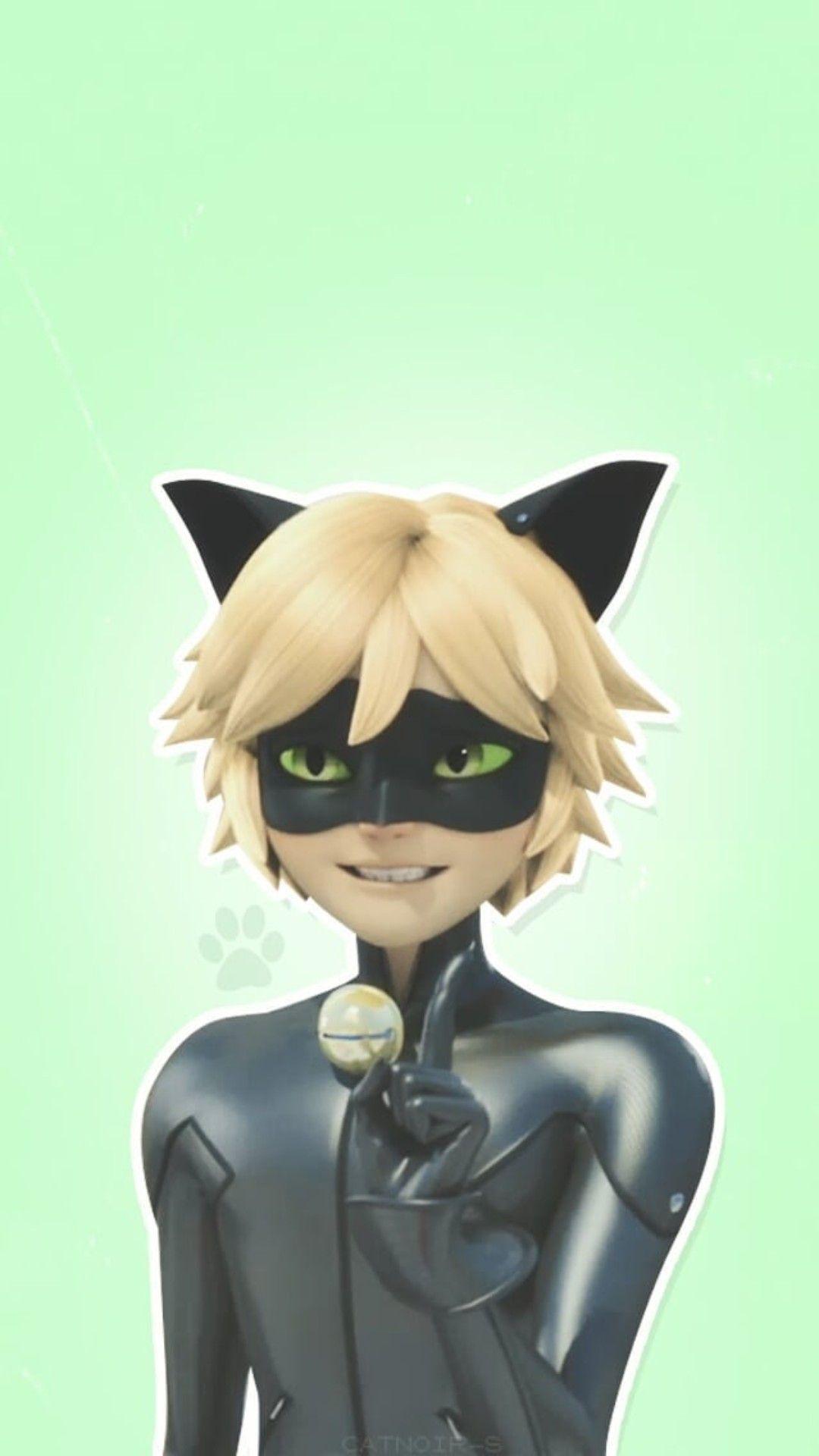 Cat Noir Pictures.jpg