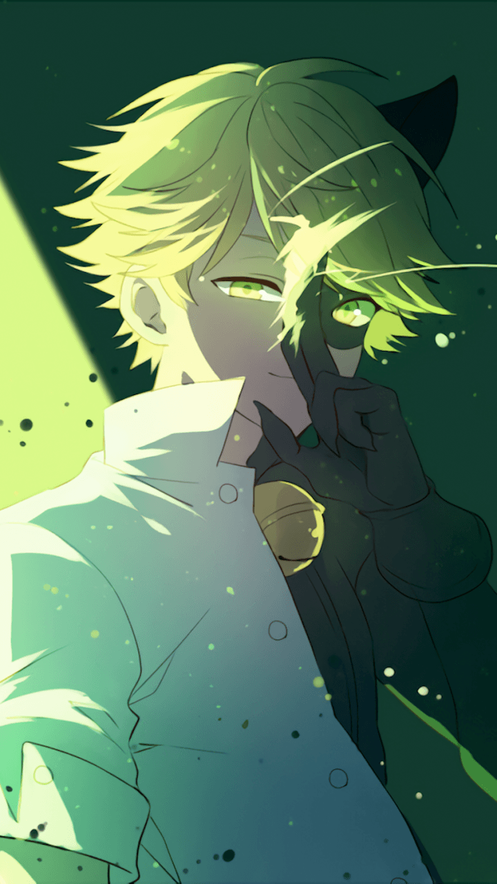 Cat Noir Image.png