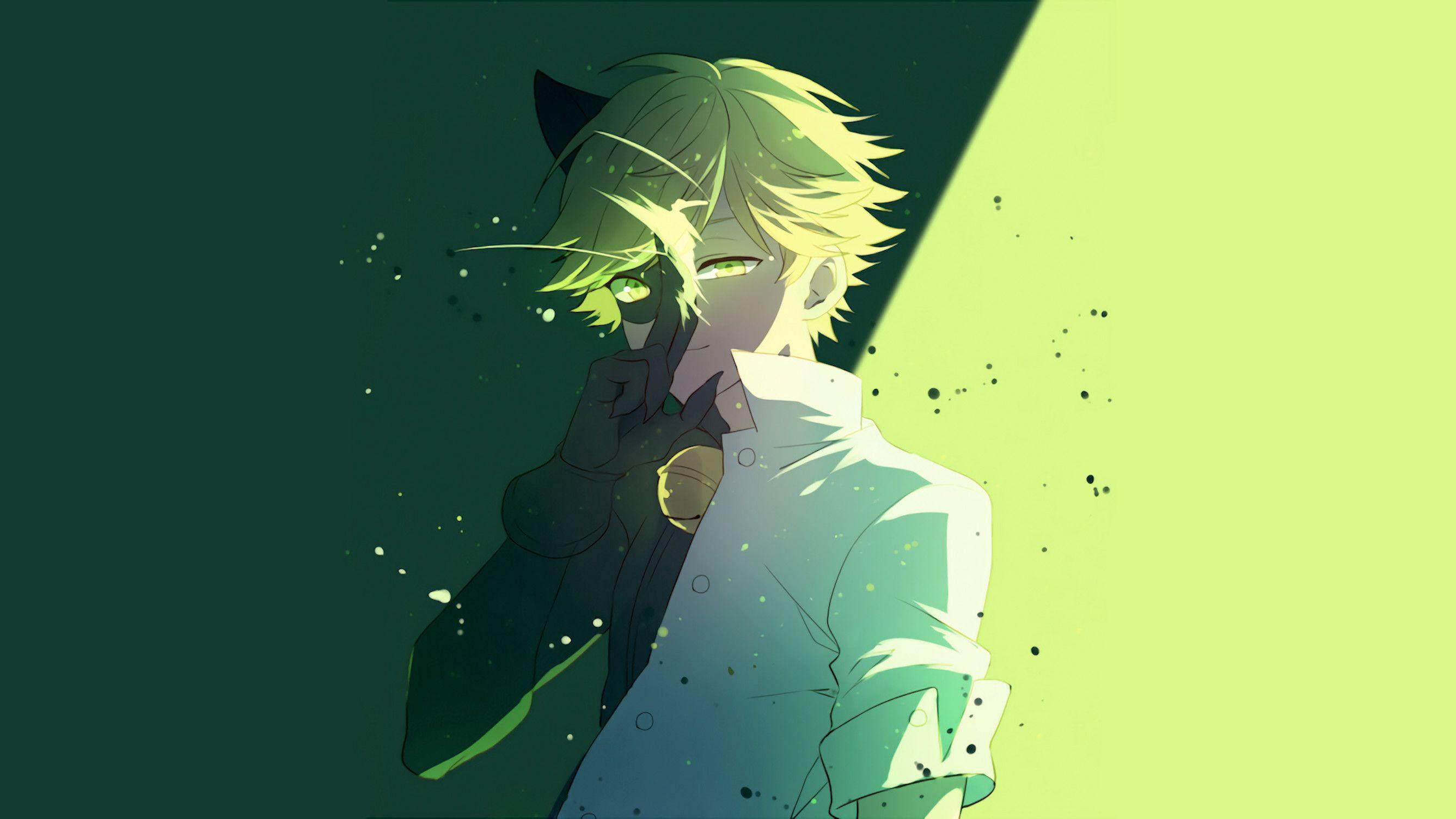 Cat Noir Wallpapers.jpg