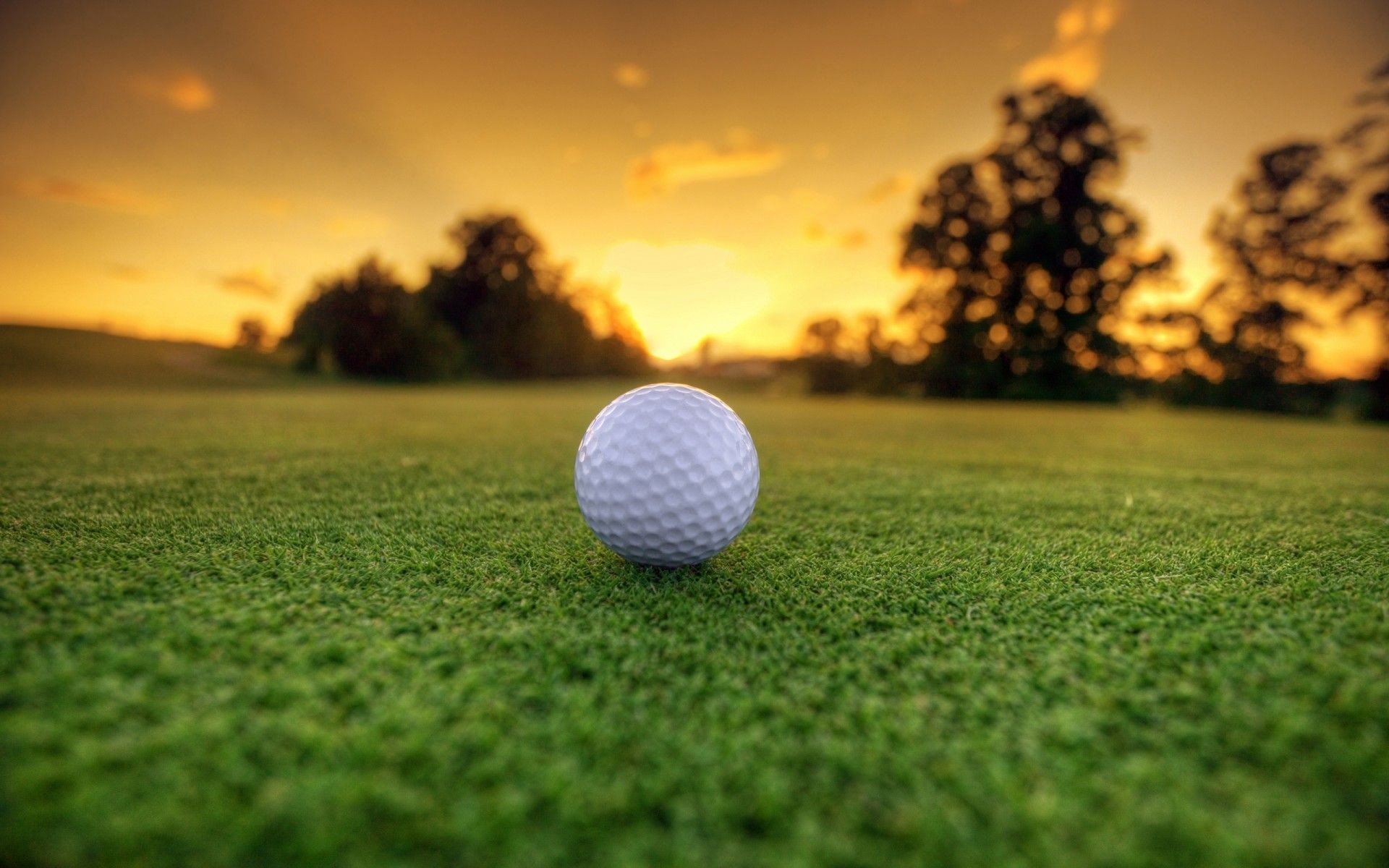 4K Golf Wallpaper.jpg