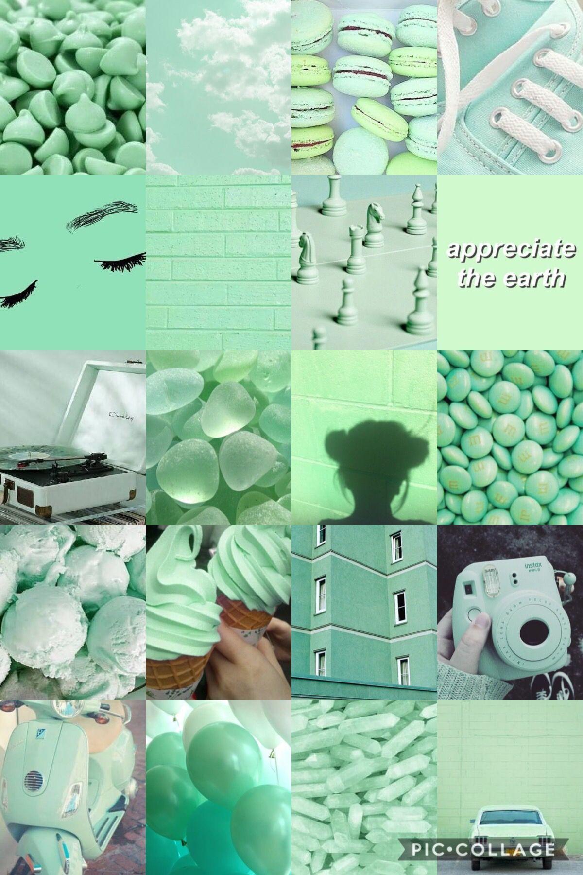 Pastel Green Aesthetic Image.jpg