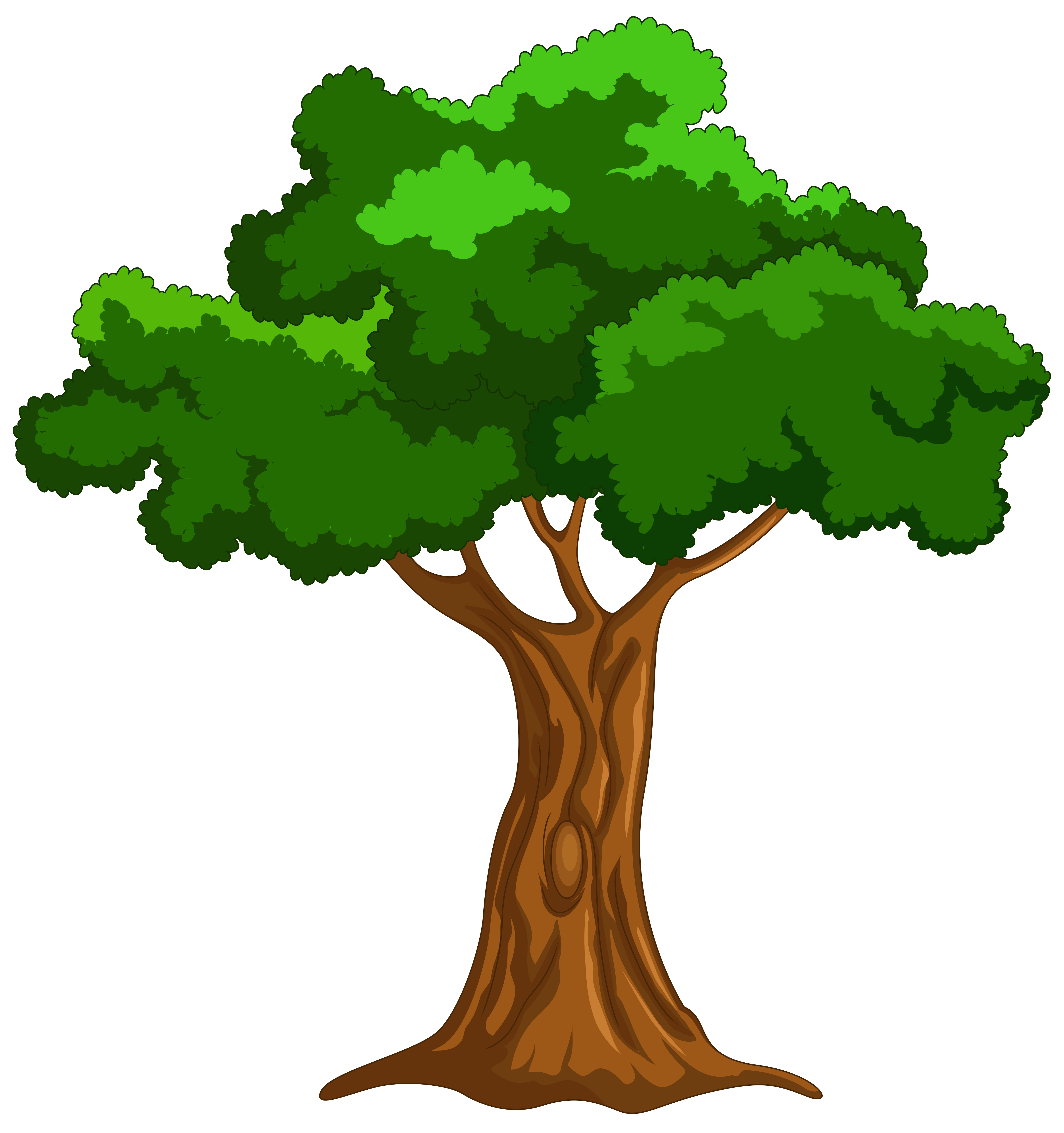 Cartoon Trees images.png