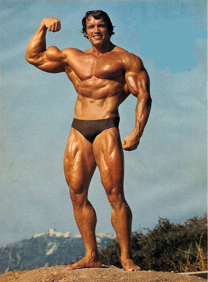 Arnold iPhone wallpapers.jpg