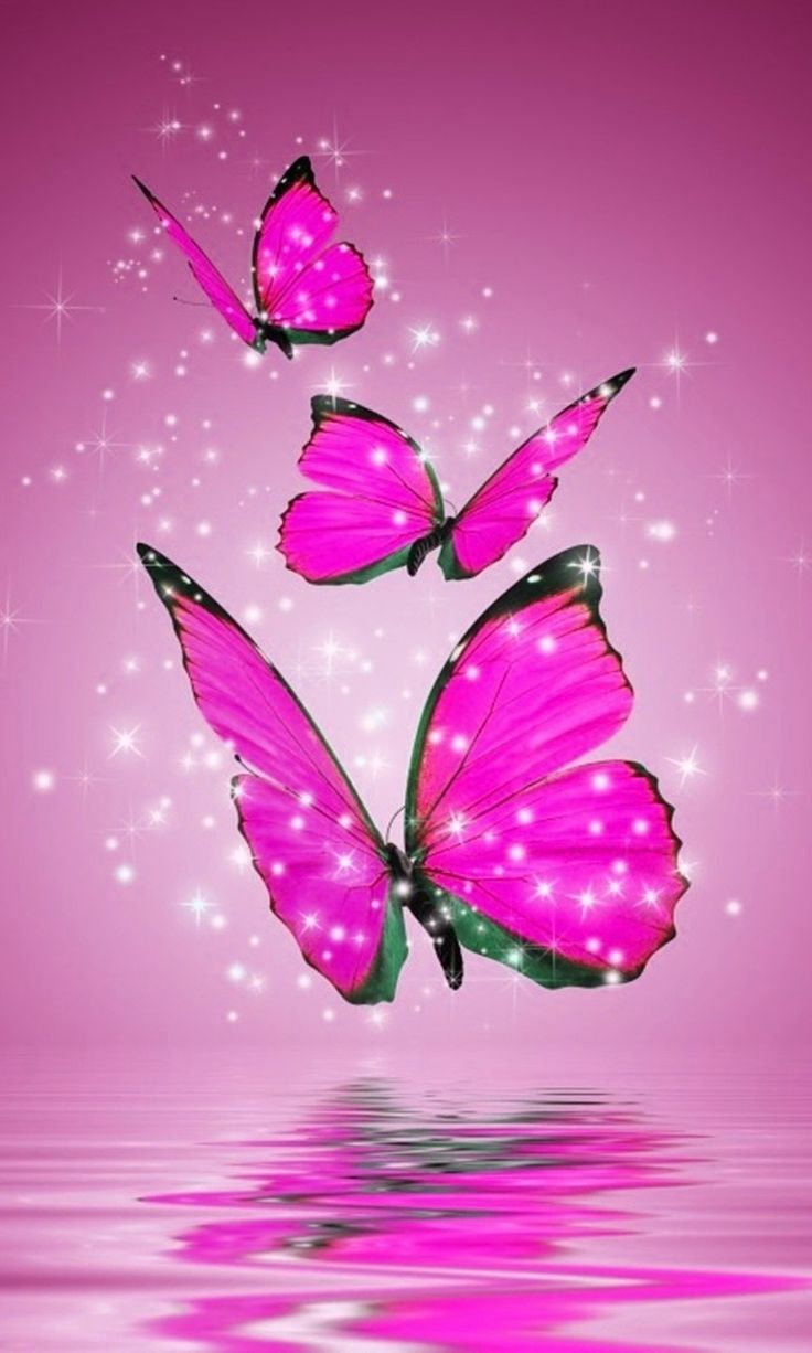 Butterfly Pic.jpg