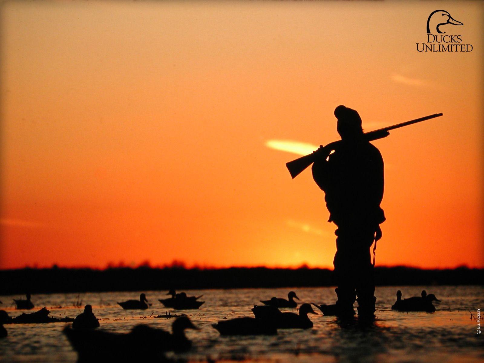 Duck Hunting pic.jpg