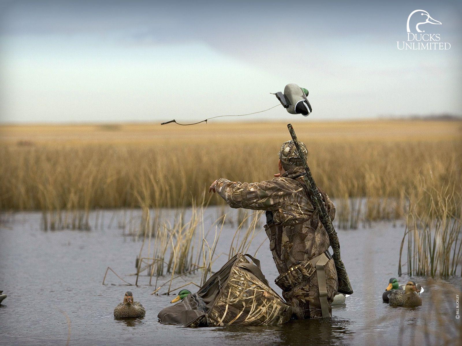 Duck Hunting Image.jpg