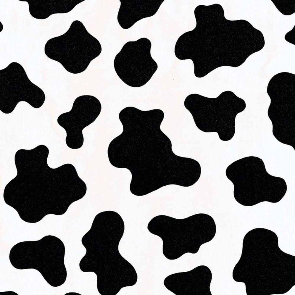 Aesthetic Cow Picture.jpg