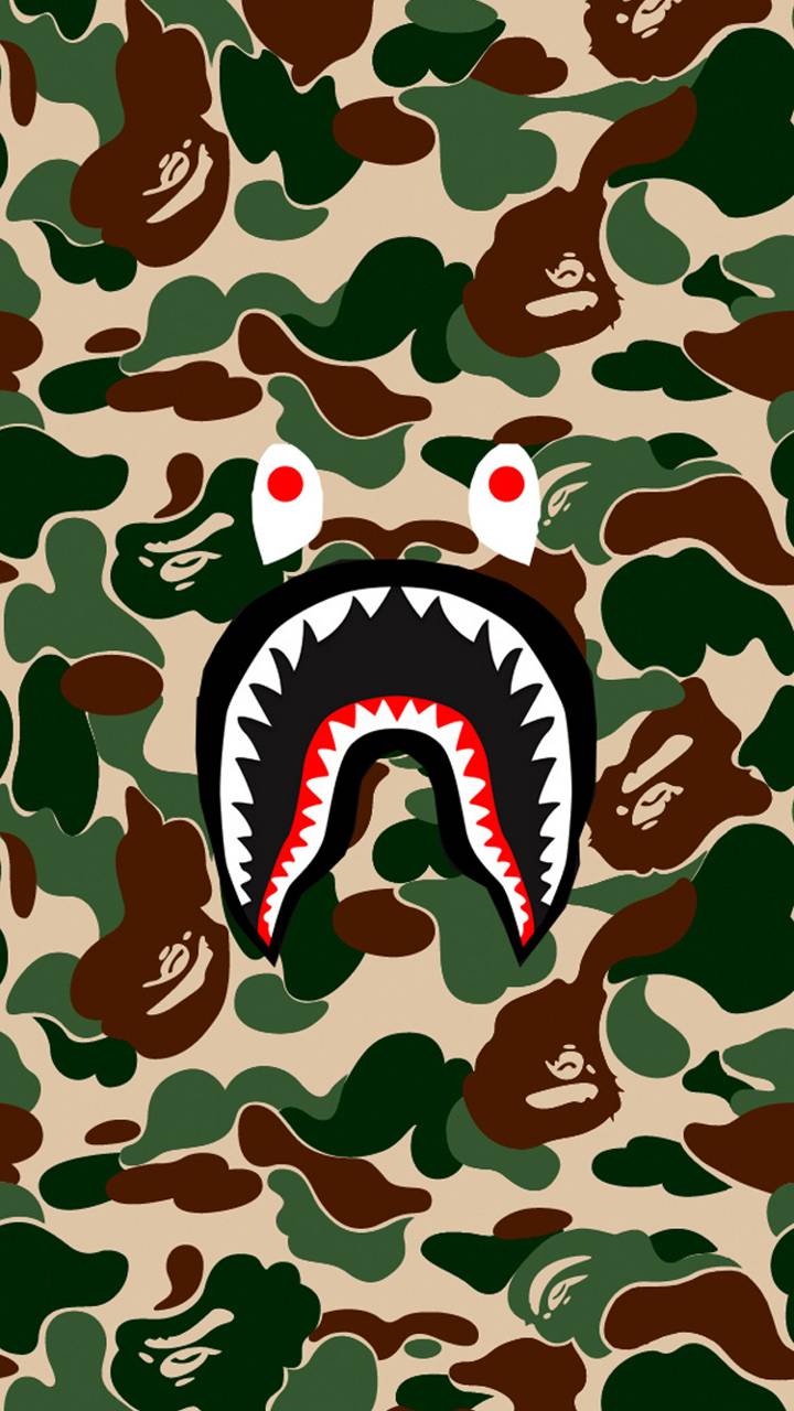 BAPE image.jpg