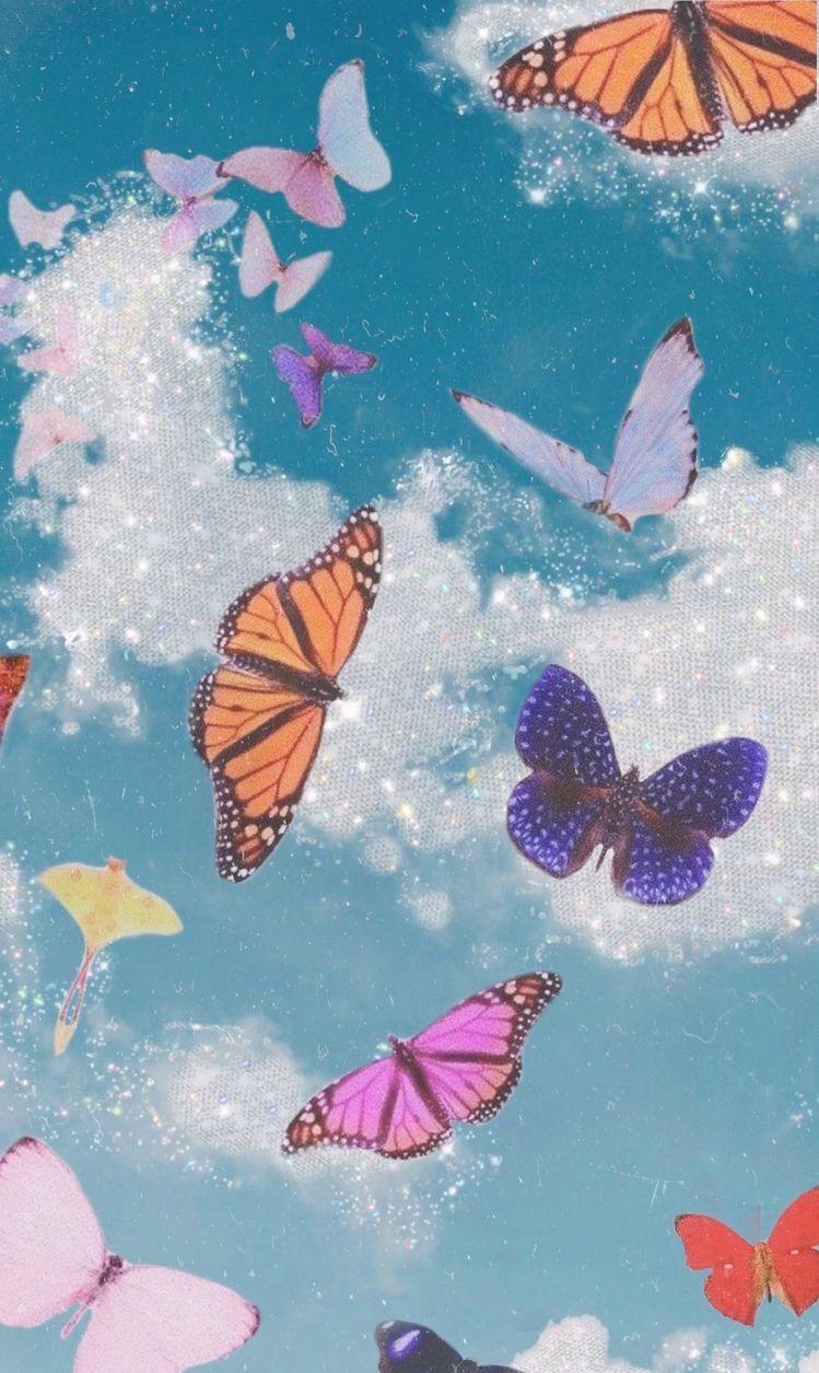 Cute Butterfly Wallpapers.jpg