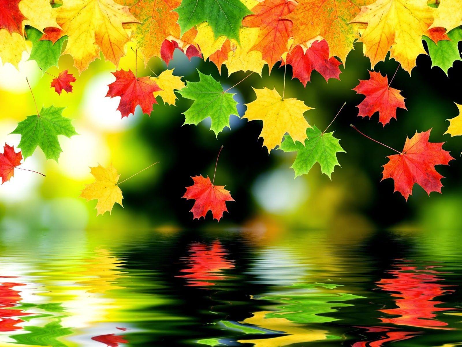 Beautiful Autumn Desktop Images.jpg