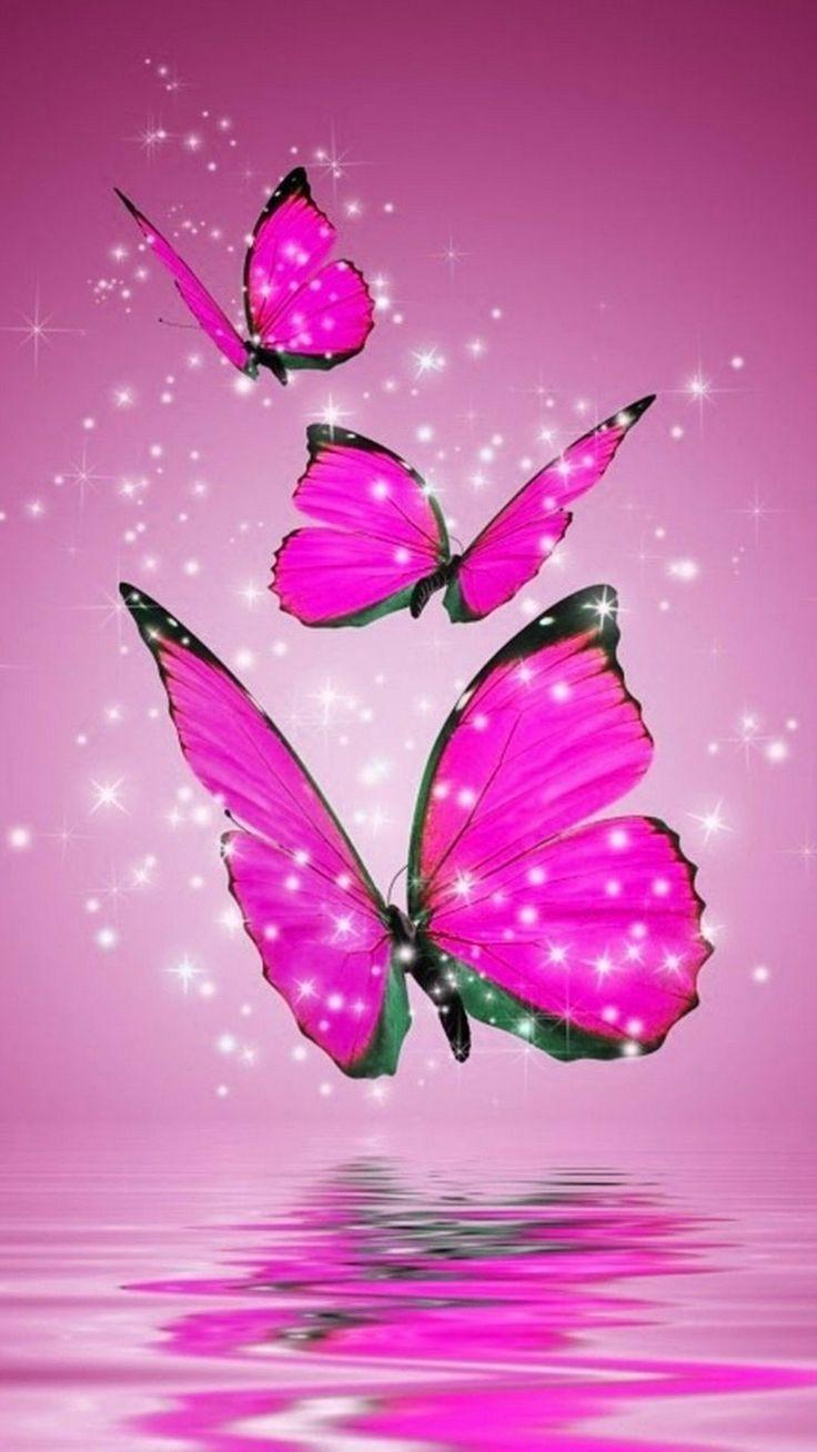 Cute Pink Butterfly pictures.jpg