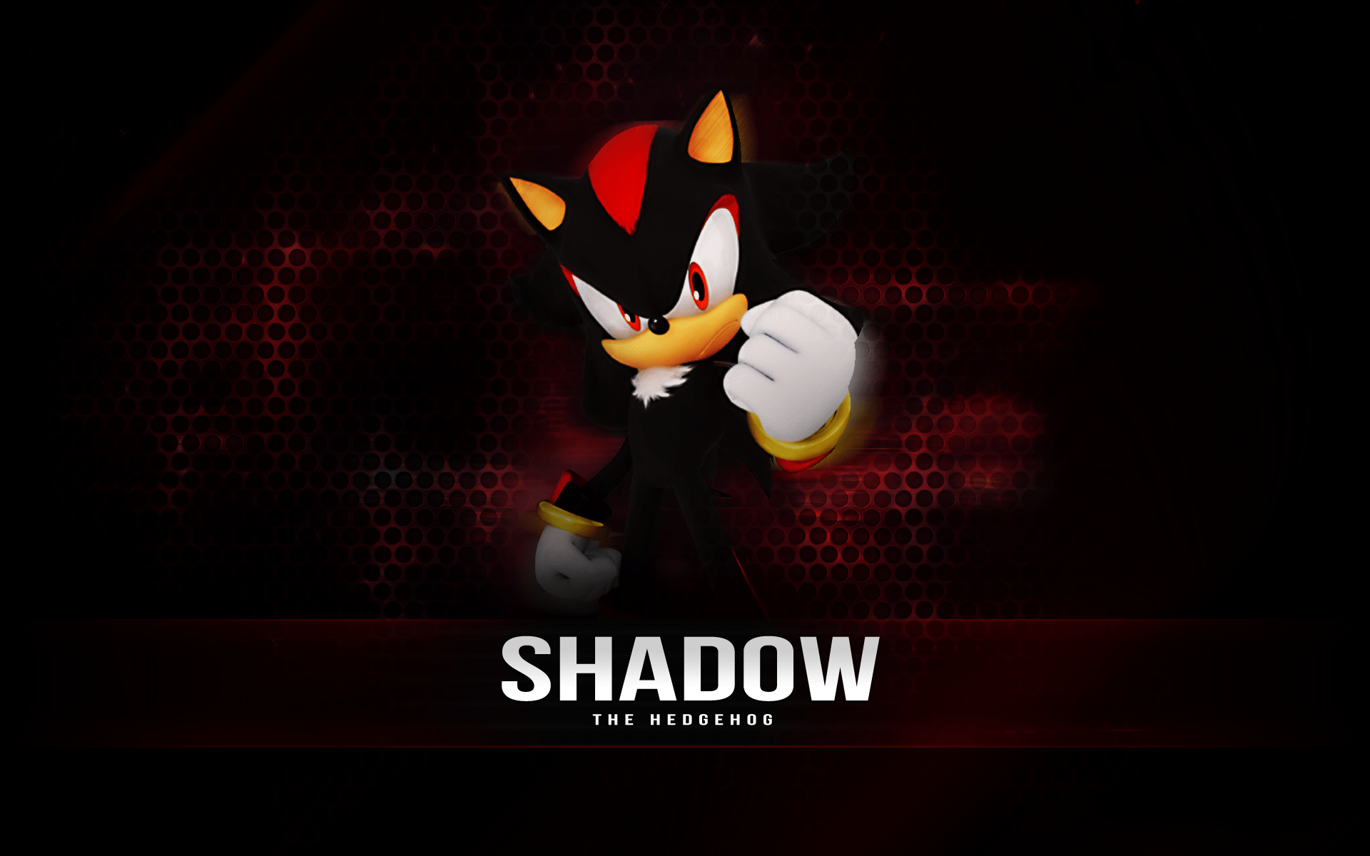 Shadow the Hedgehog image.png