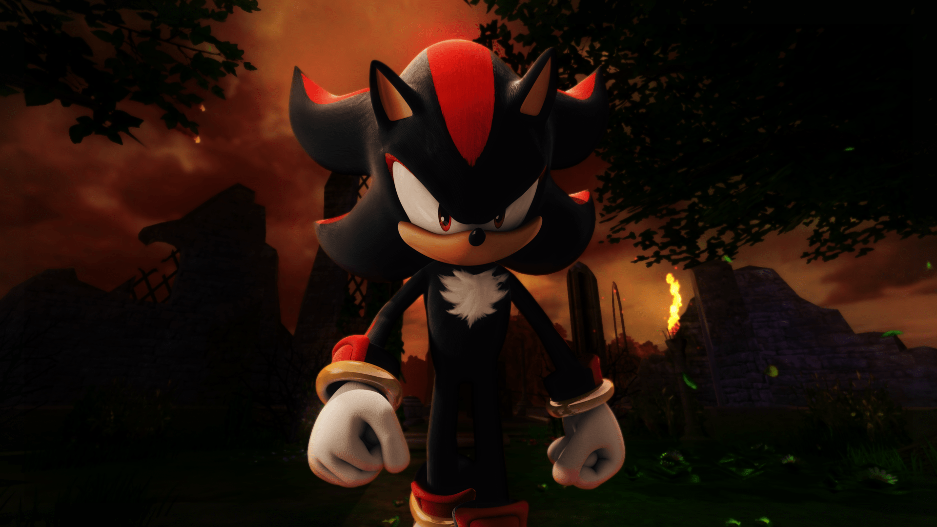 hadow the Hedgehog photo.png