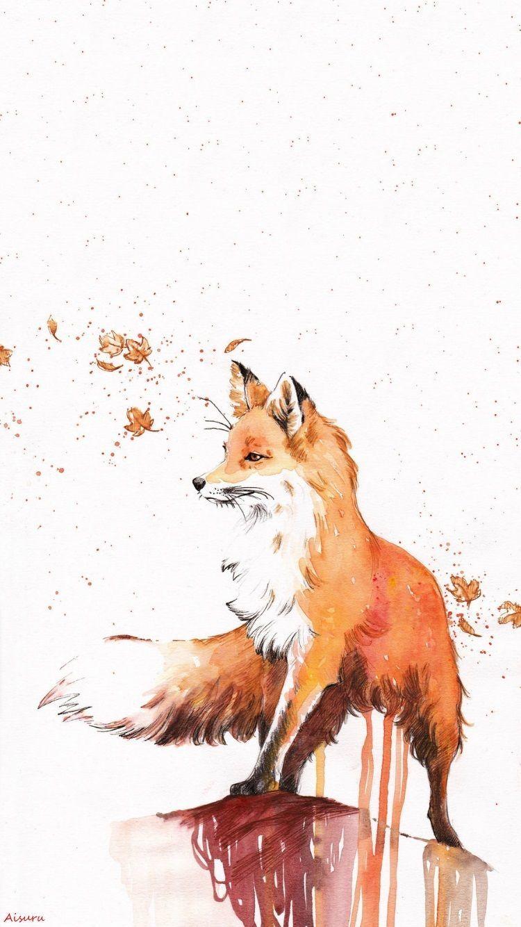 Cute Fox Drawing pics.jpg