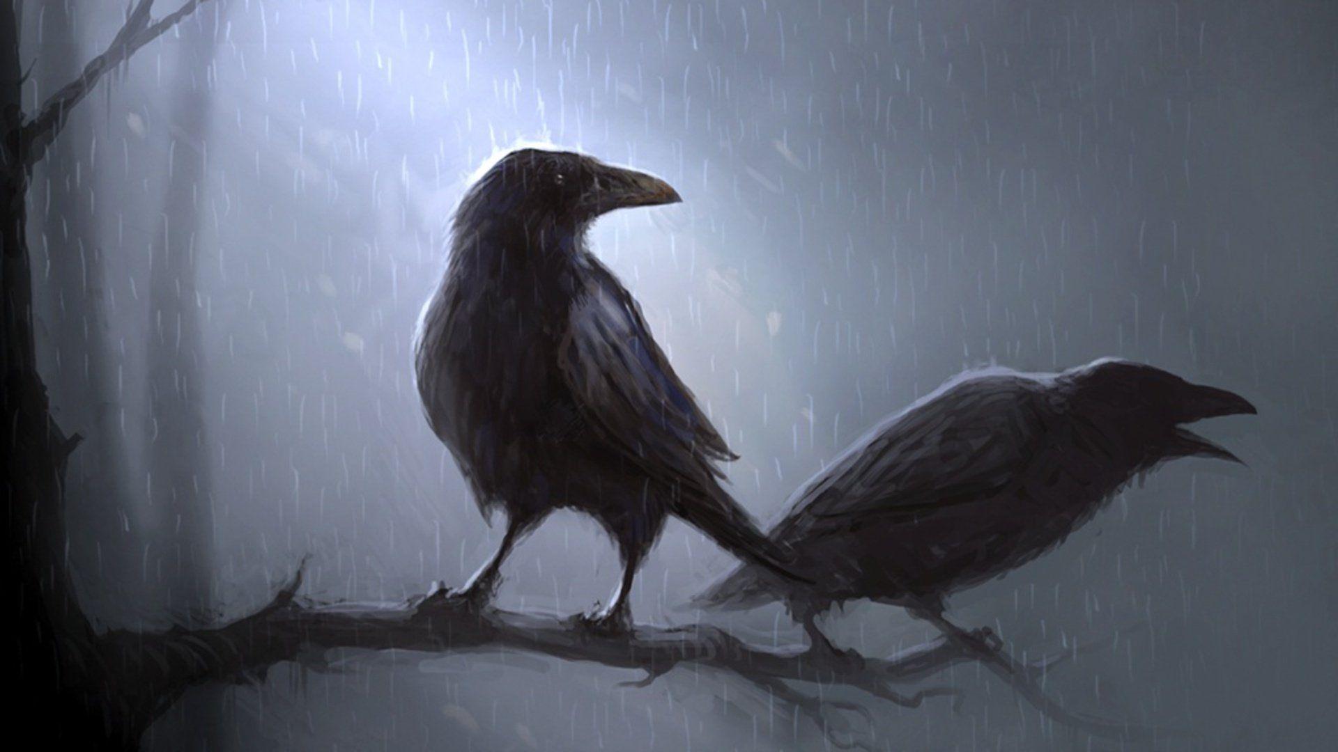 Raven wallpapers.jpg