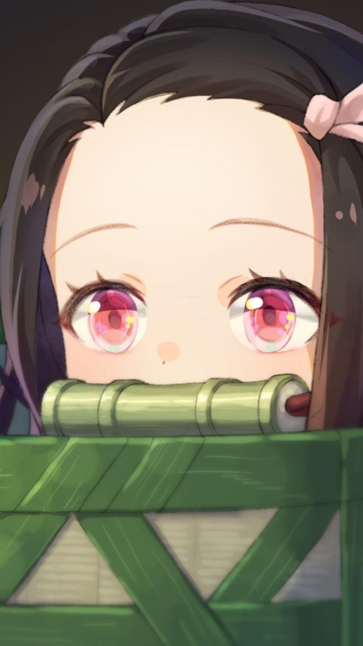 Nezuko Phone pictures.jpg