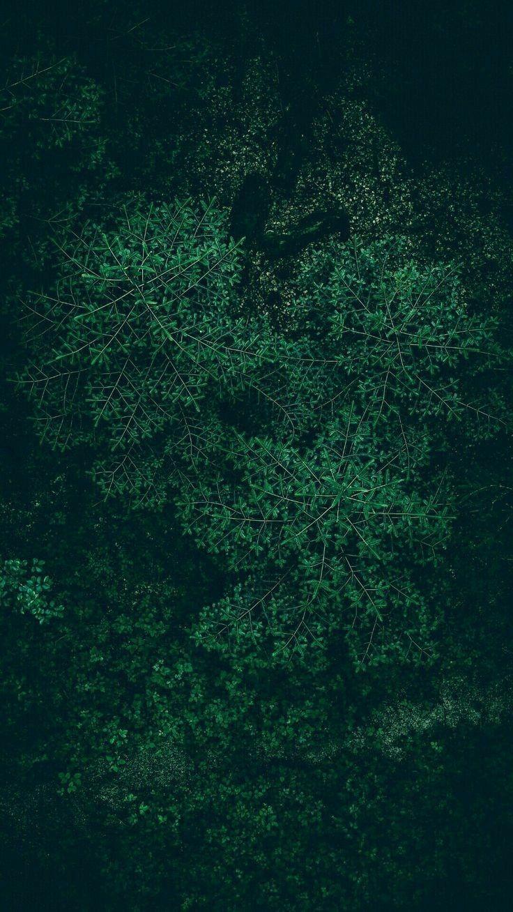 Dark Green Phone Image.jpg