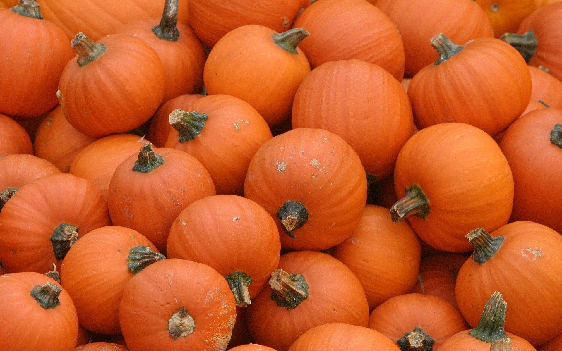 Pumpkin wallpaper.jpg