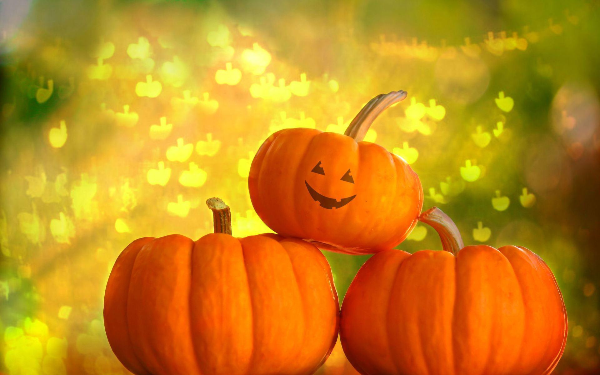 Pumpkin picture.jpg