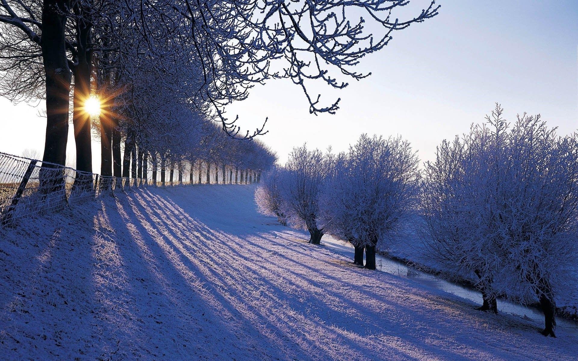 Beautiful Winter pictures.jpg