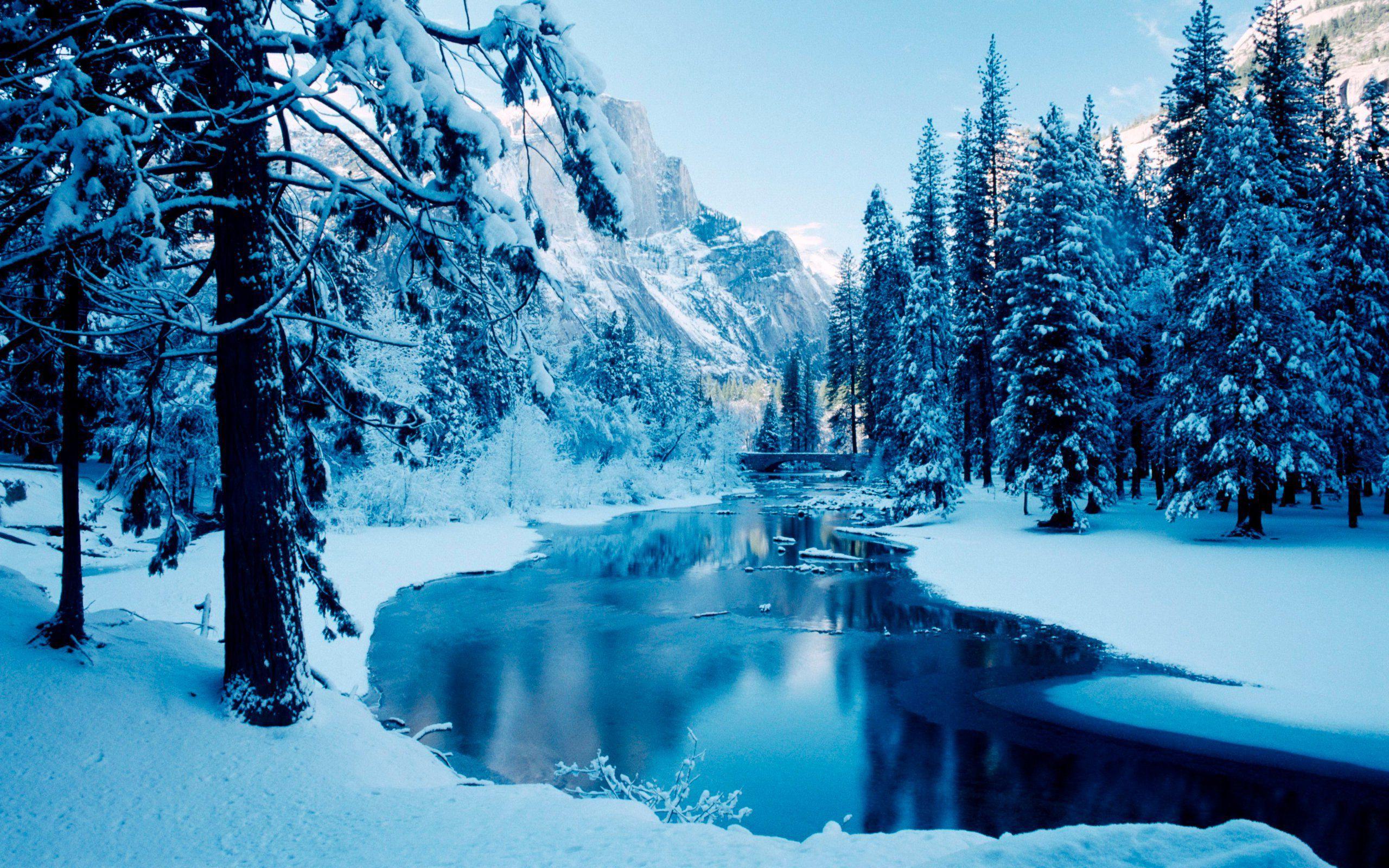 Beautiful Winter wallpapers.jpg