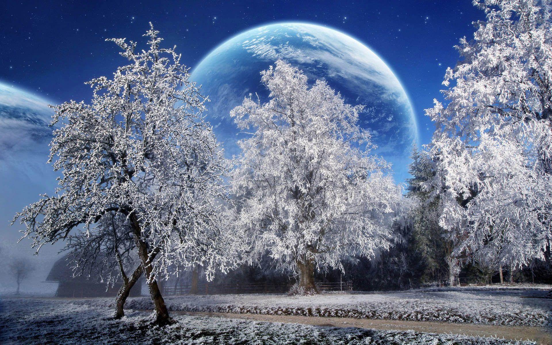 Beautiful Winter wallpaper.jpg