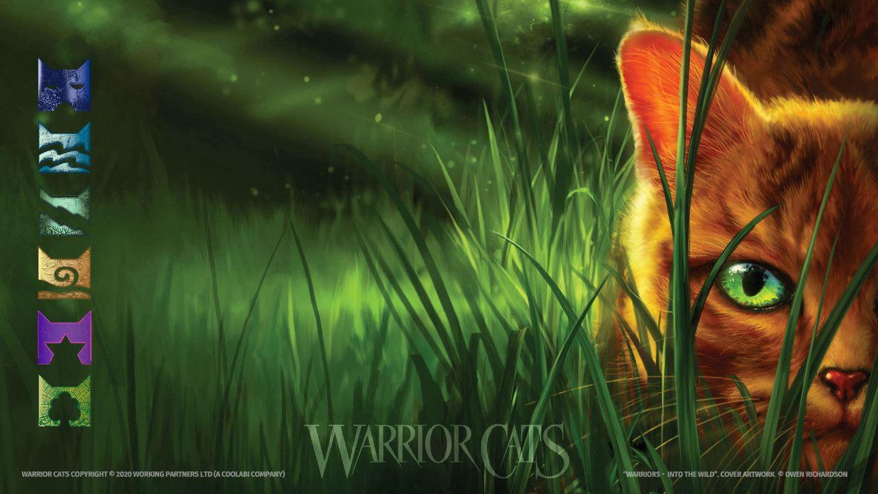 Warriors Cat Wallpapers.jpg