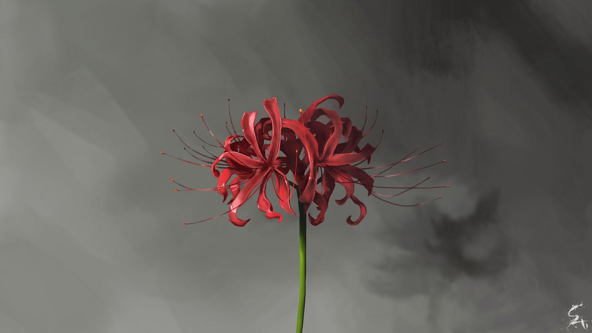 Tokyo Ghoul Flower Images.jpg