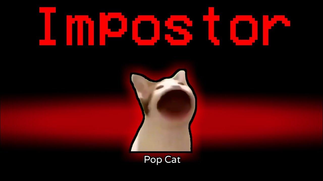 Popcat pictures.jpg