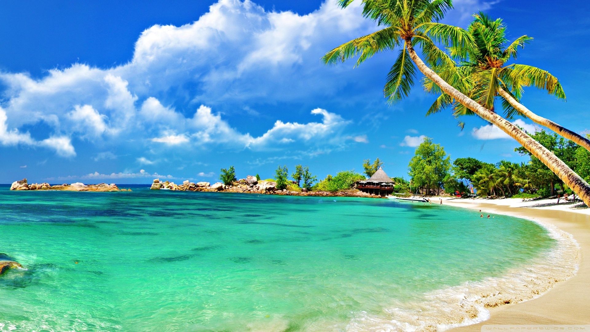 Beach Wallpapers.jpg