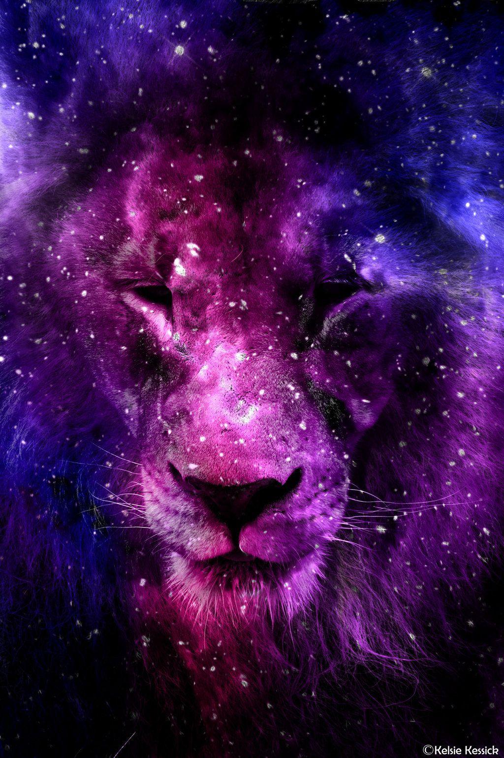 Galaxy Lion Wallpapers.jpg