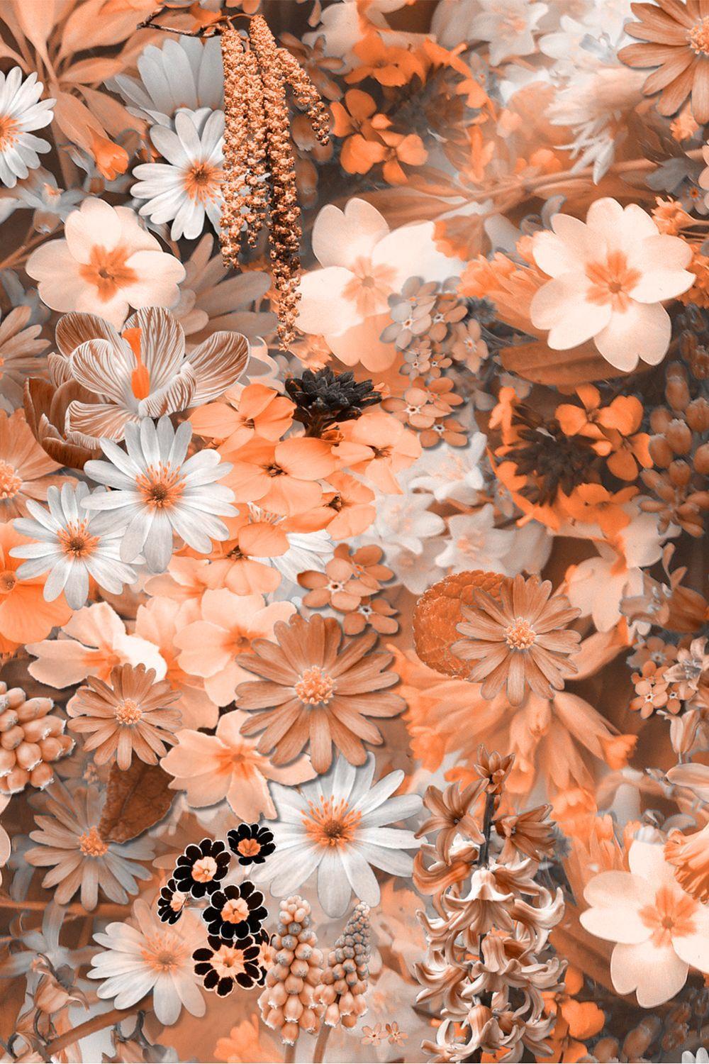 Cute Aesthetic Flower wallpaper.jpg