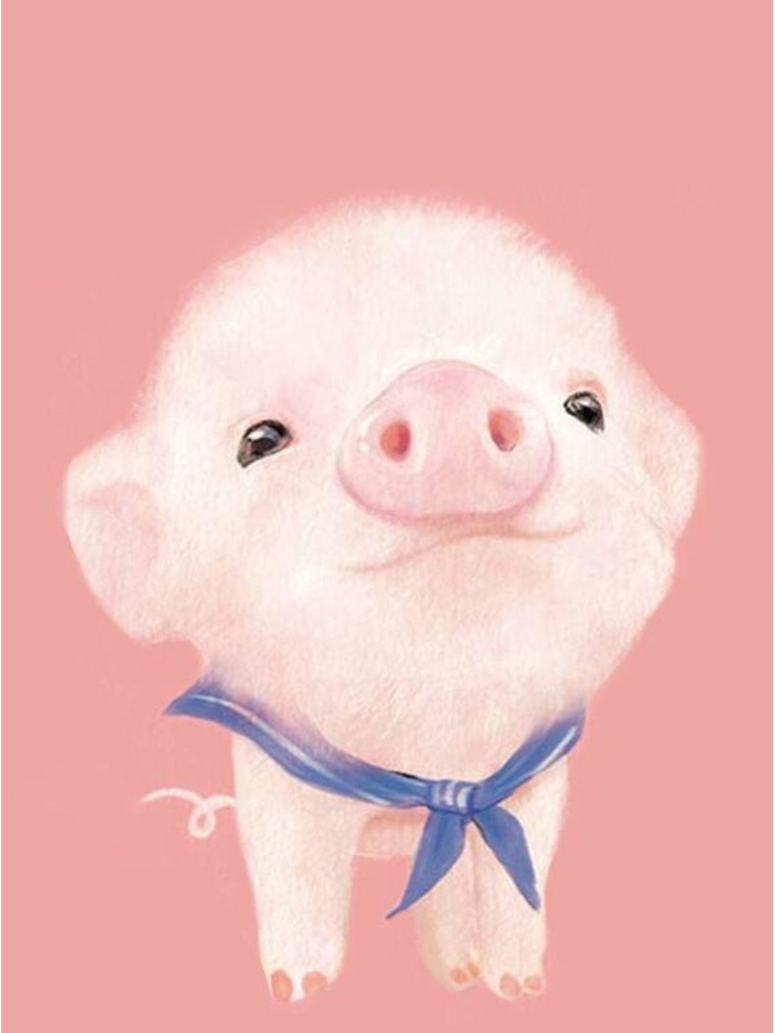 Piggy picture.jpg