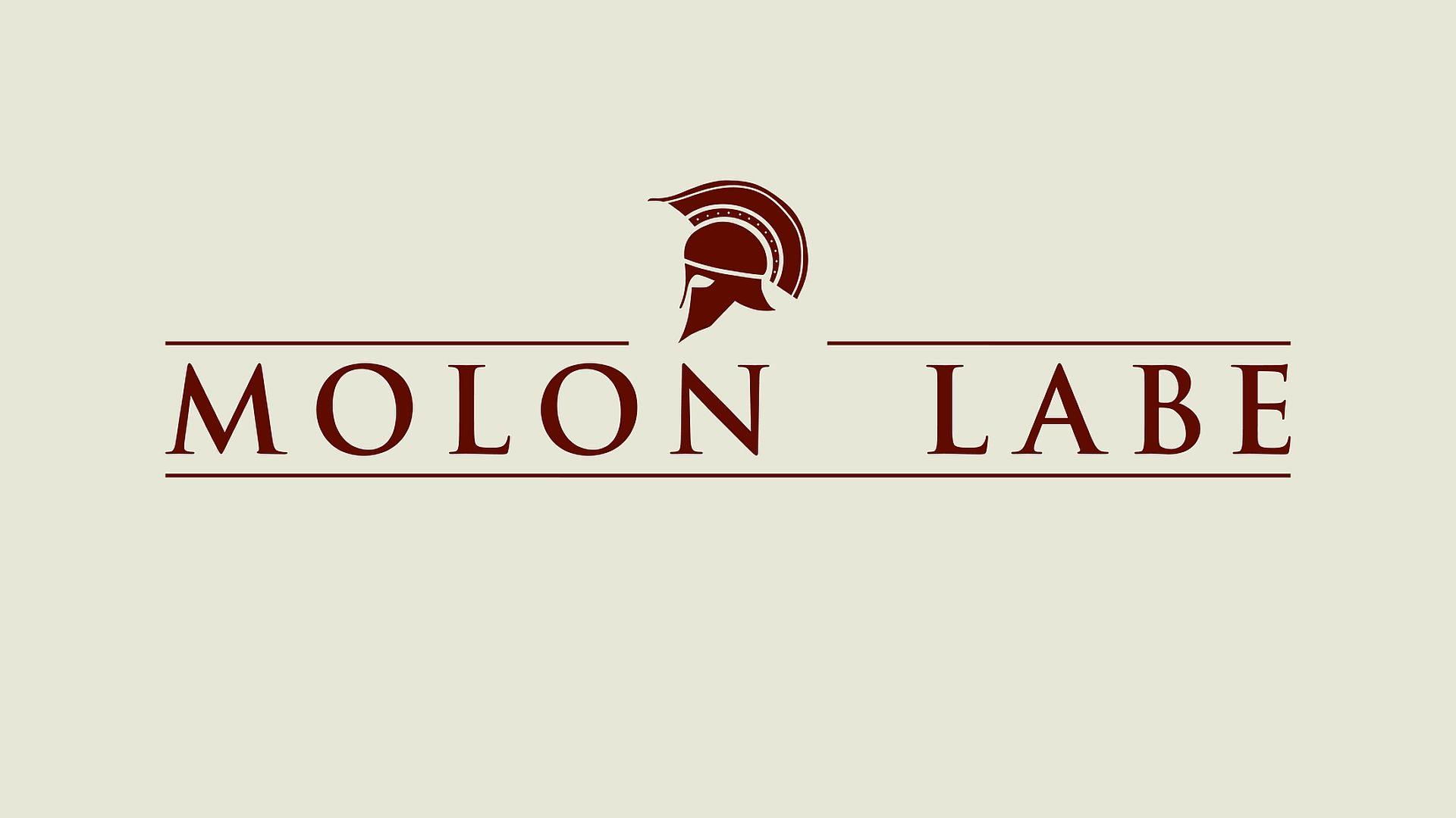 Molon Labe wallpaper.jpg