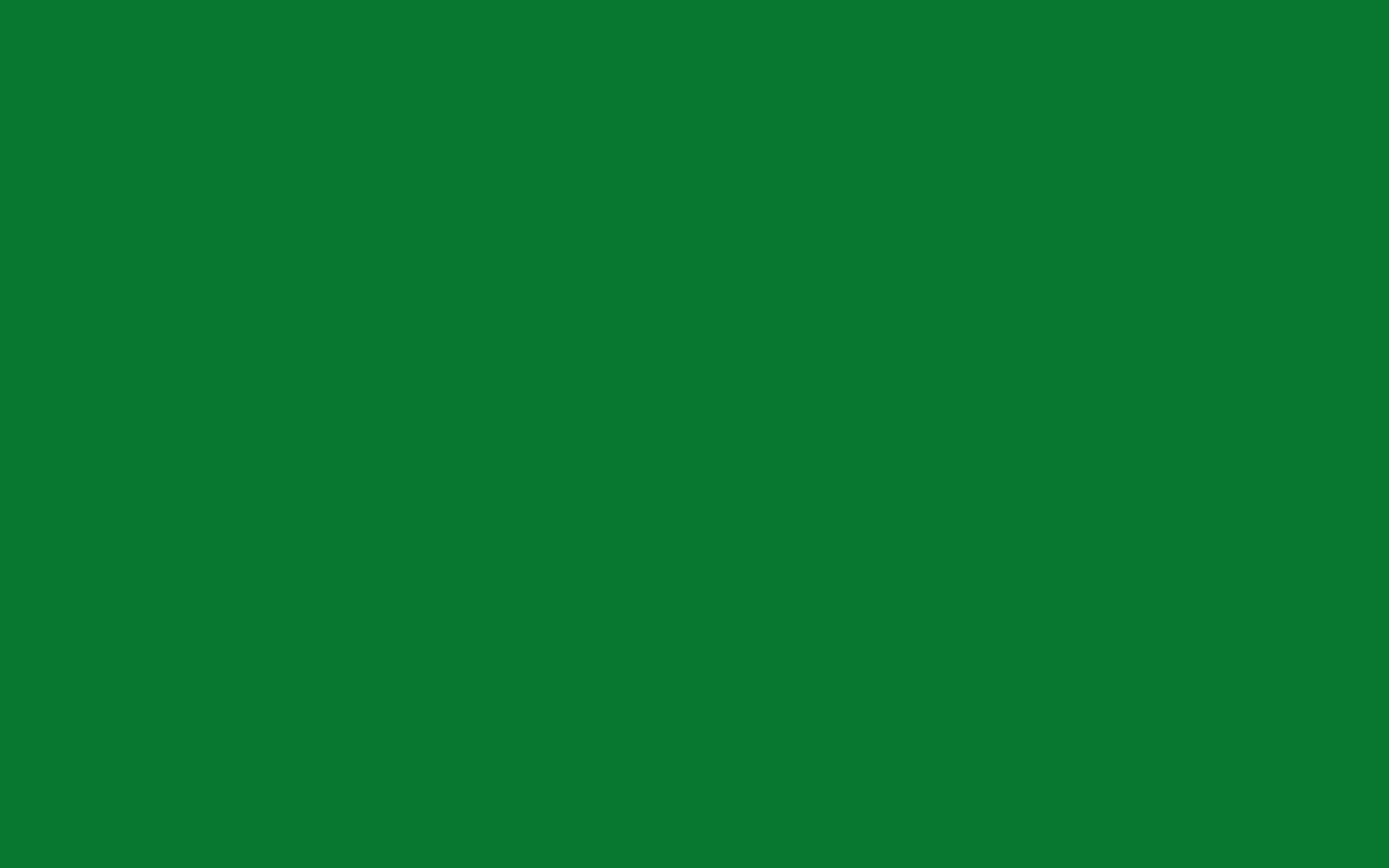 Solid Green Wallpapers.jpg