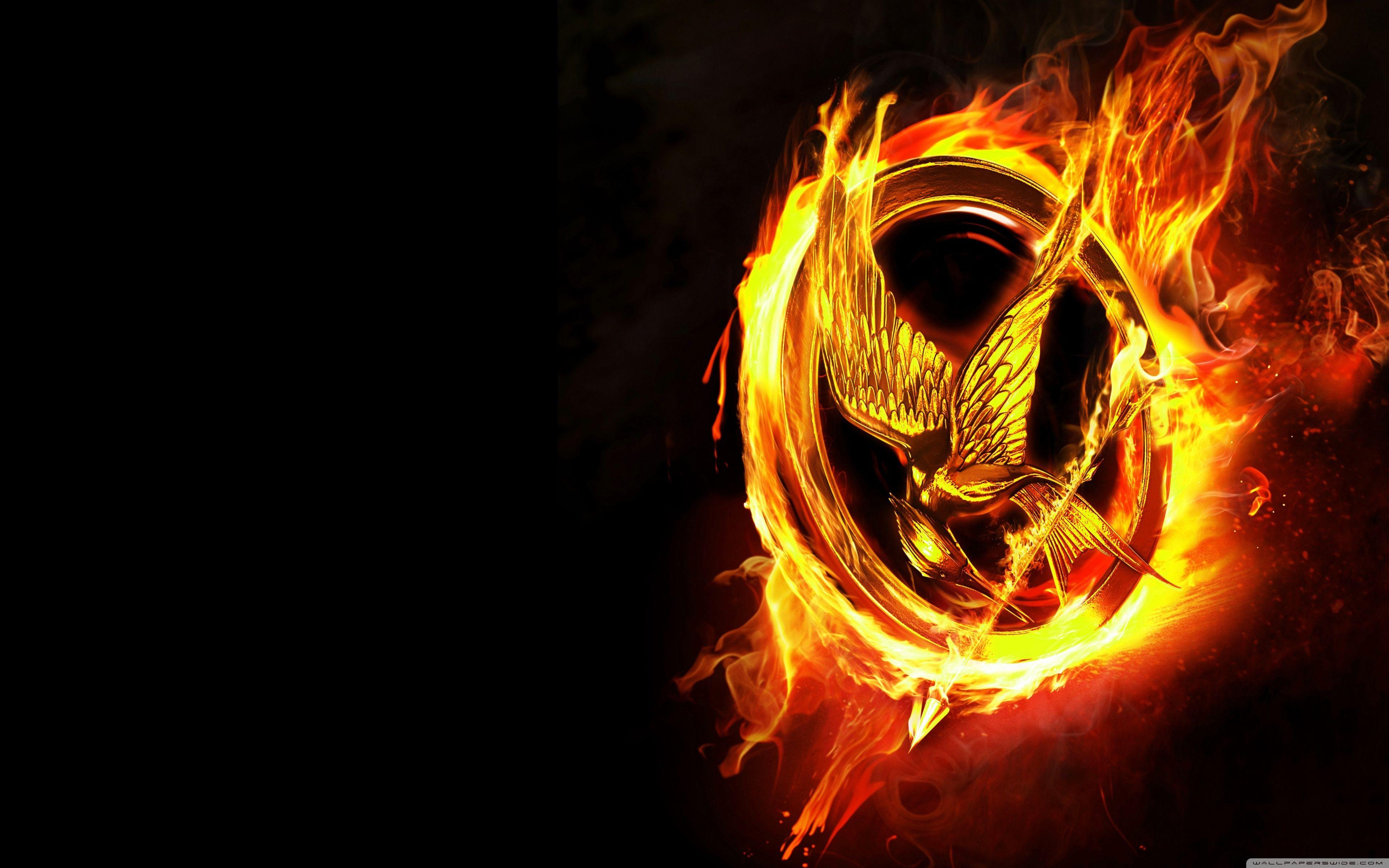 The Hunger Games Picture.jpg