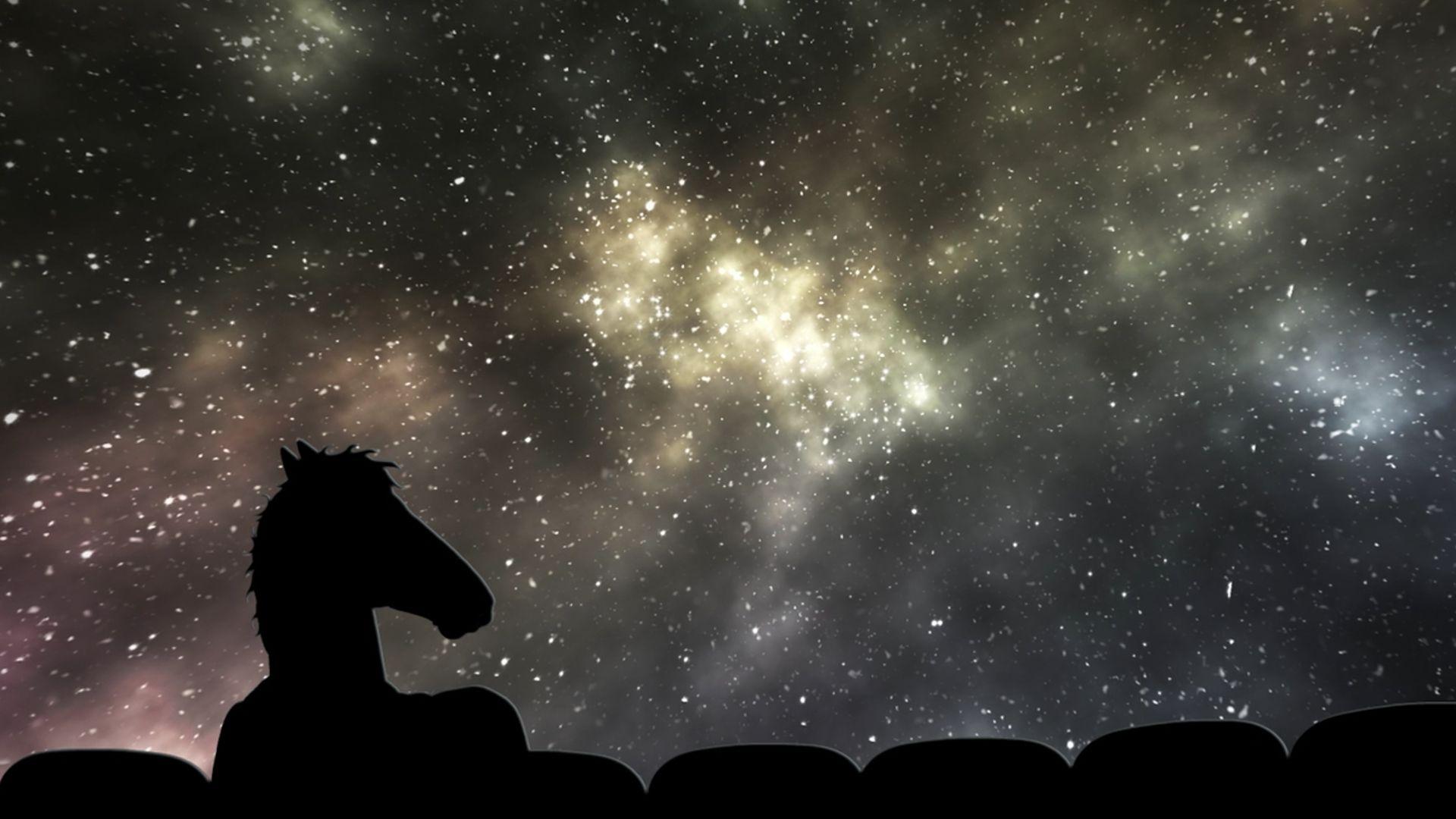 Bojack Horseman Desktop Wallpapers.jpg