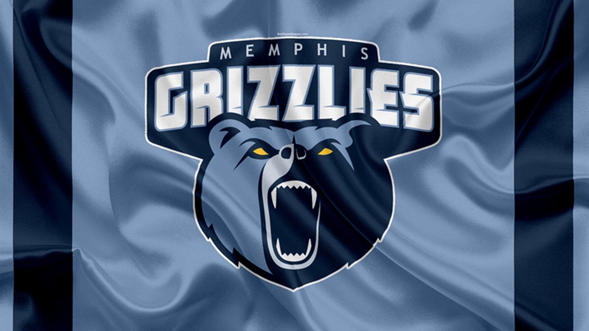Memphis Grizzlies Picture.jpg