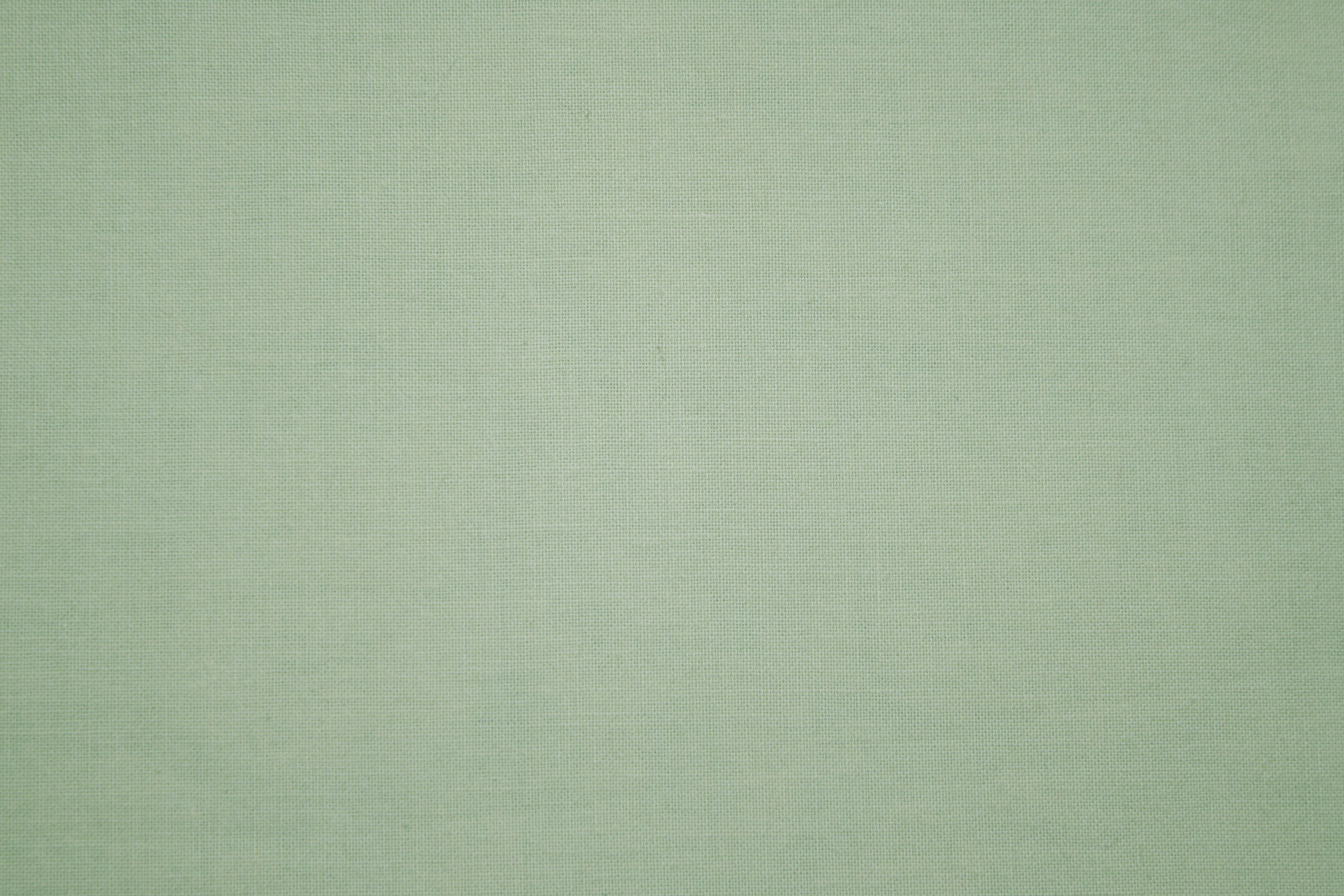 Sage Green Wallpaper.jpg