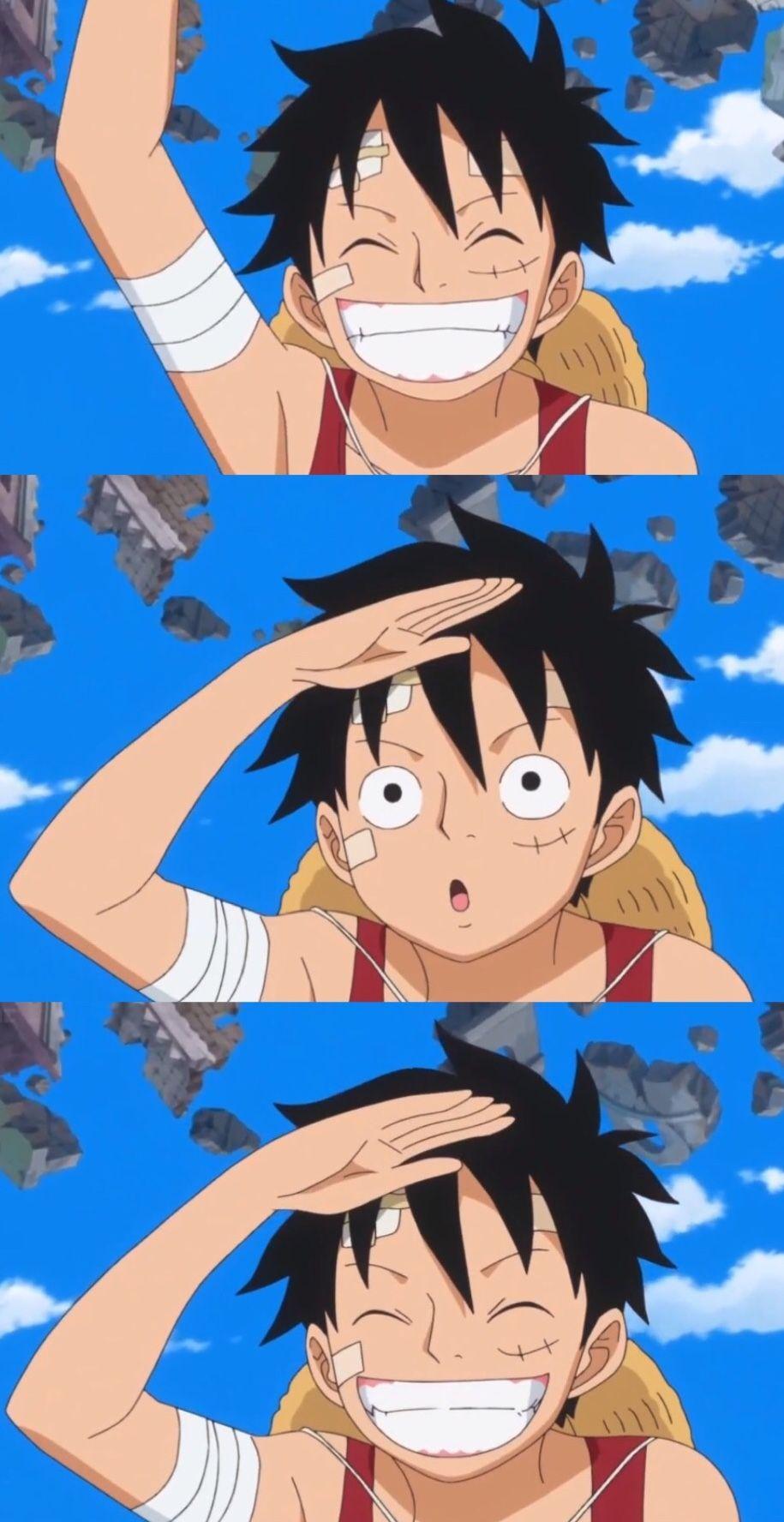 Luffy Smile pics.jpg