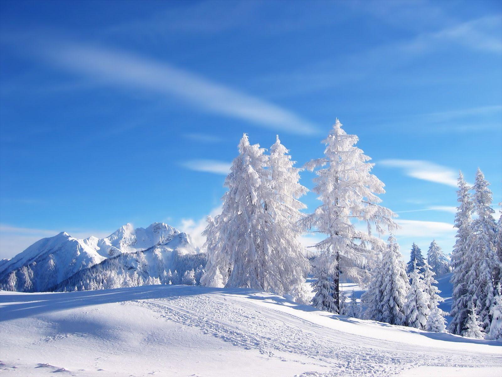 Snow wallpapers.jpg