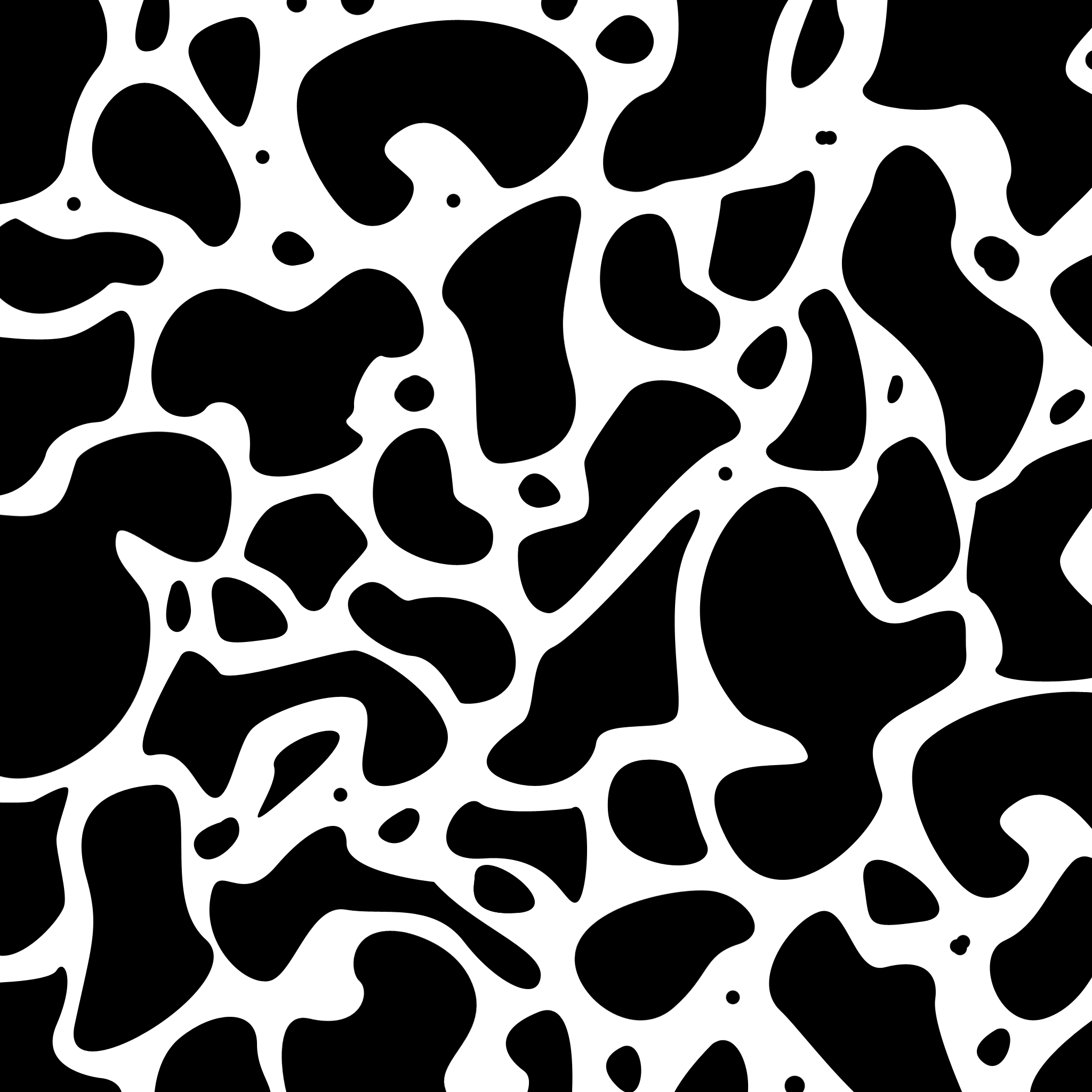 Cow Print Pics.png