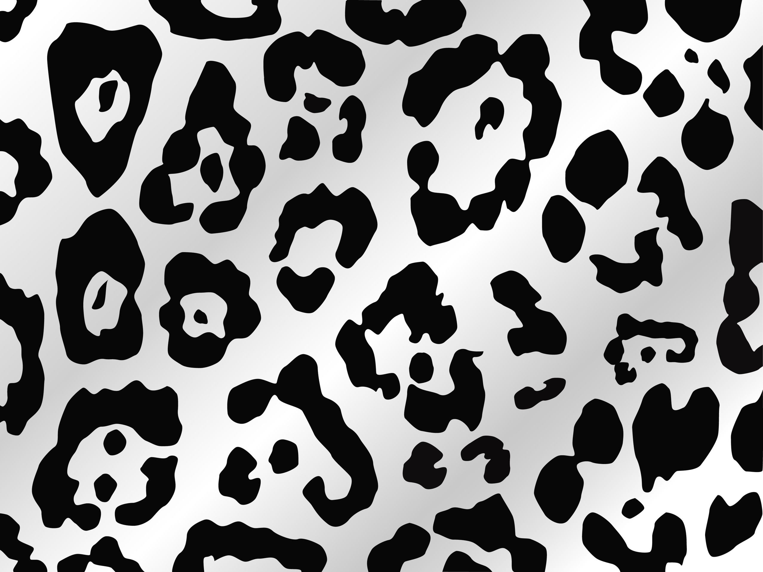 Cow Print Wallpaper.jpg