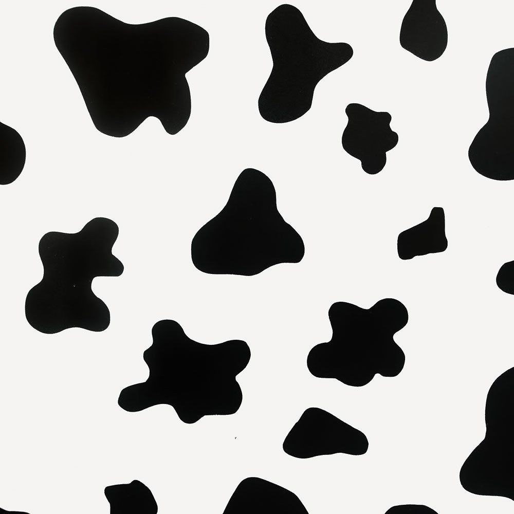 Cow Print Photos.jpg