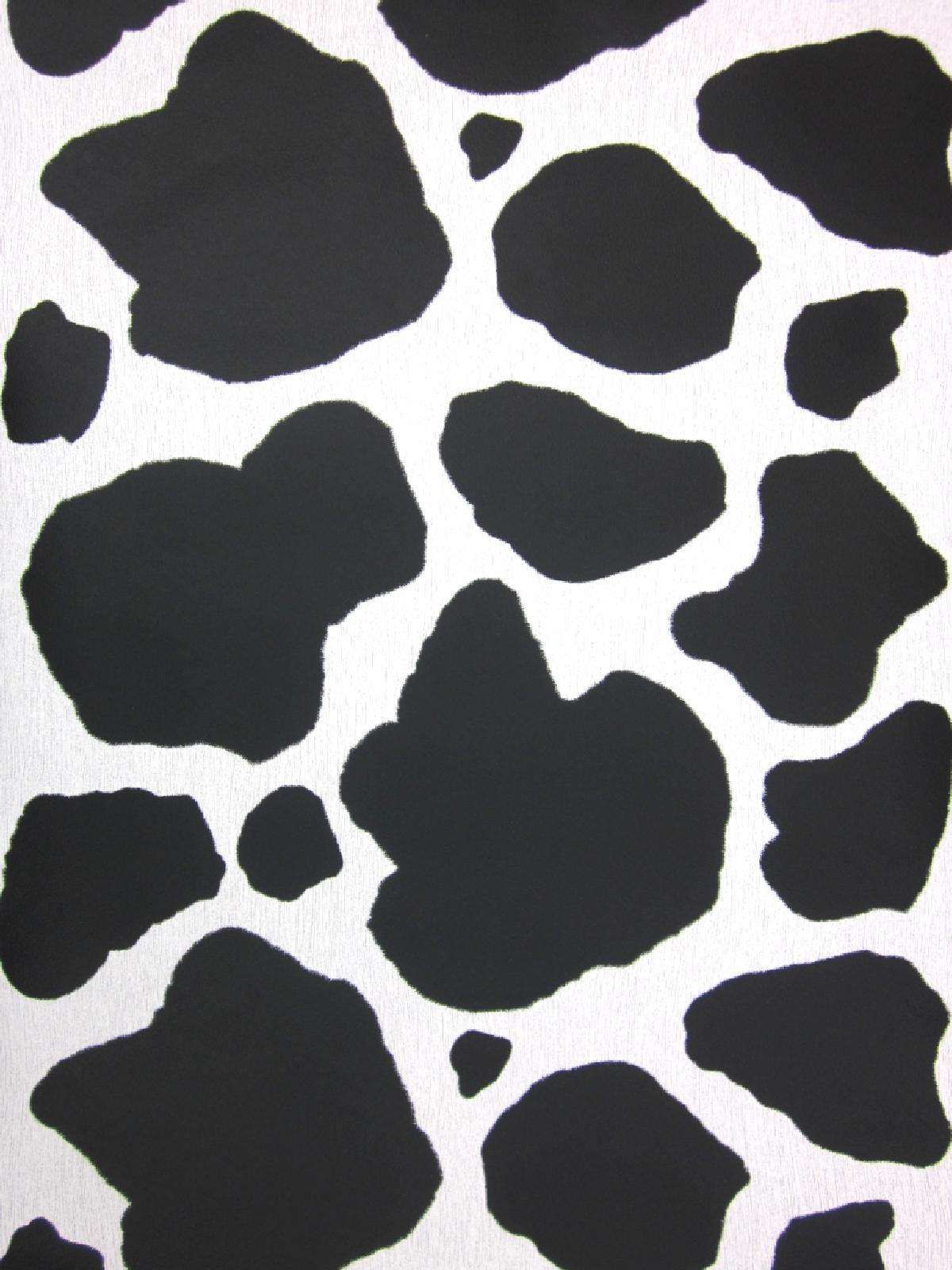 Cow Print Pic.jpg