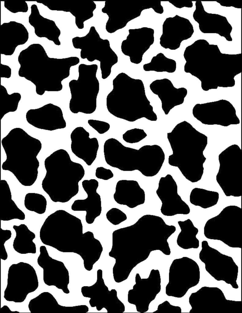 Cow Print Picture.jpg