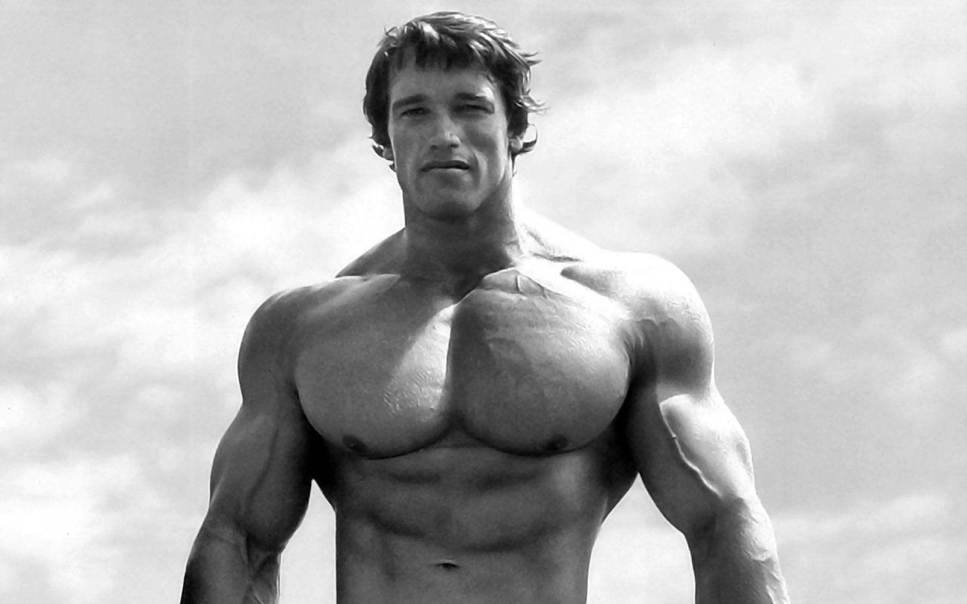 Arnold Schwarzenegger Wallpaper.jpg